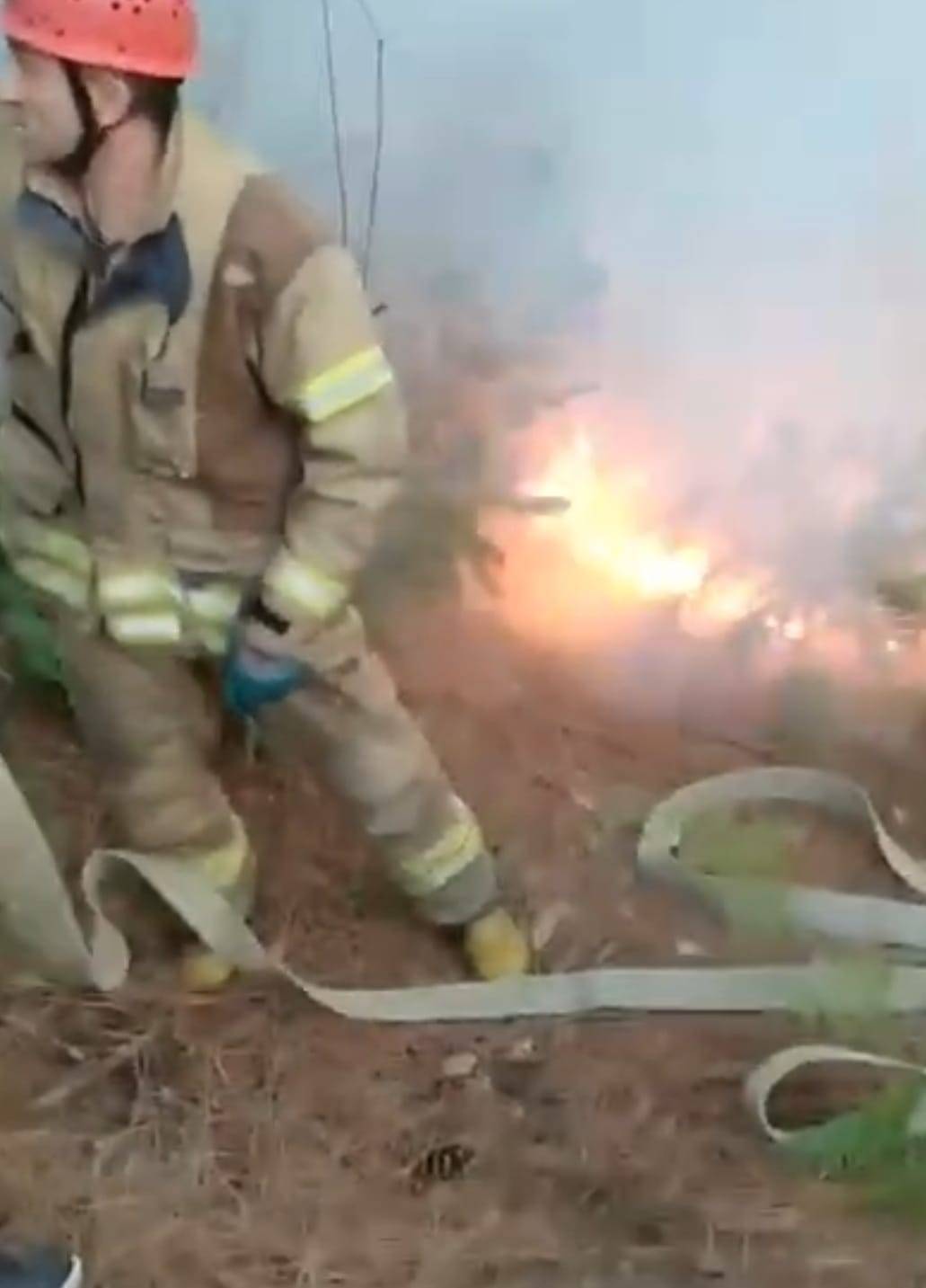 Beykoz'da Orman Yangını