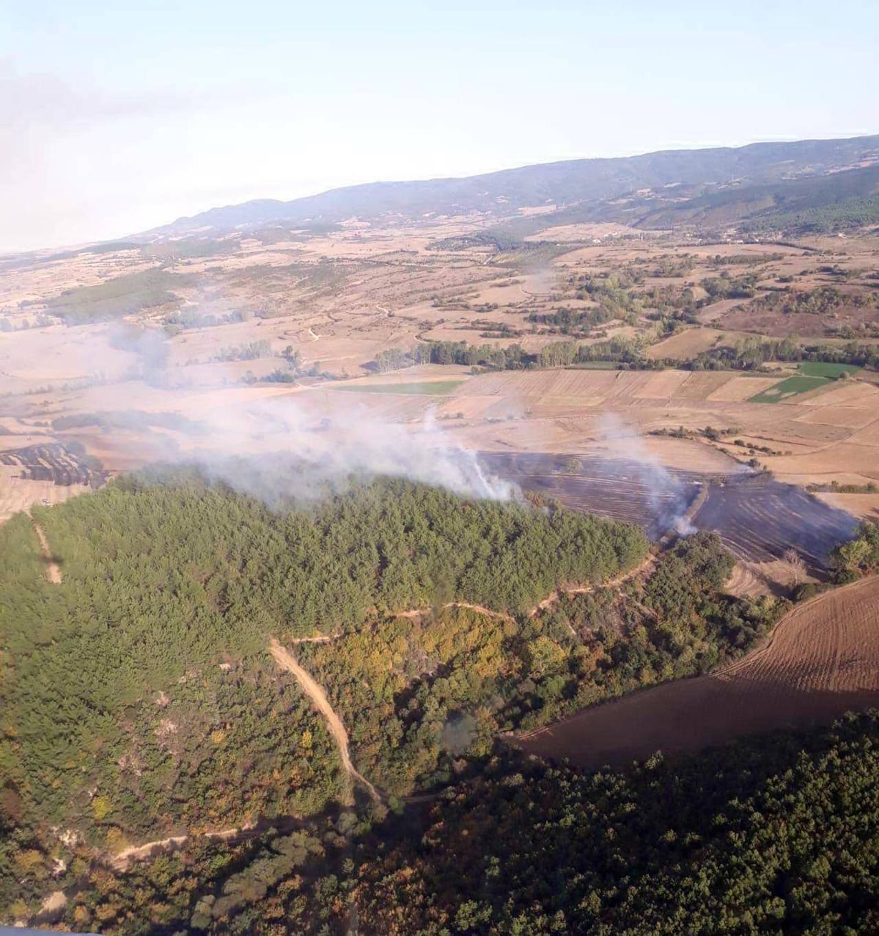 Tekirdağ'da Çıkan Orman Yangını Söndürüldü