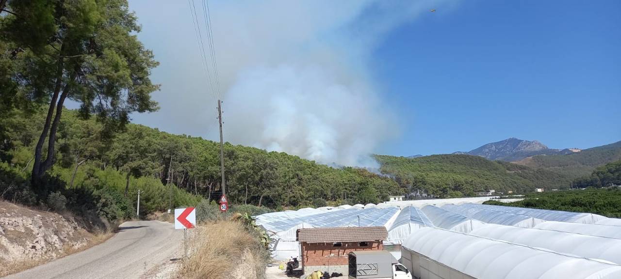 Antalya'da Orman Yangını (1)