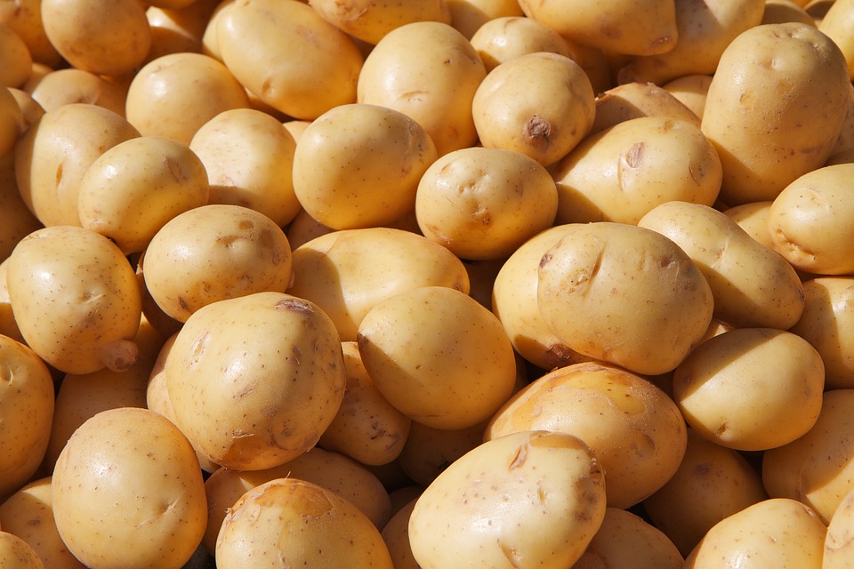 potato-2760712-960-720.jpg