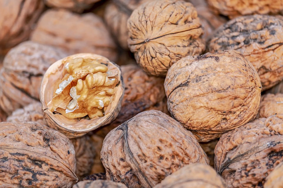 nuts-4062624-960-720.jpg